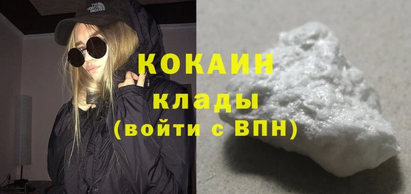 прущие грибы Арсеньев