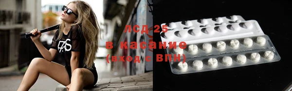 прущие грибы Арсеньев