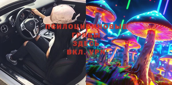 тгк Армянск