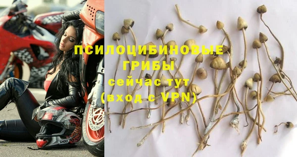 MESCALINE Алзамай