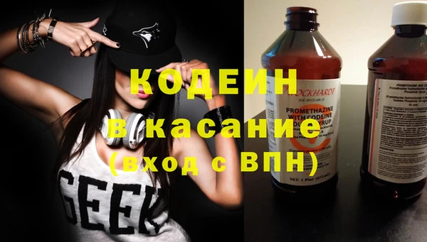 прущие грибы Арсеньев