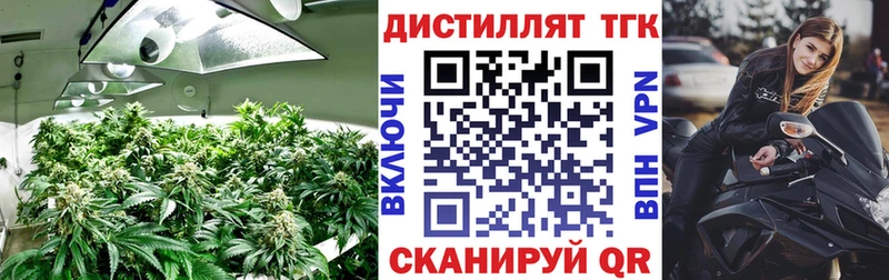 ТГК вейп  где купить наркоту  Балтийск 