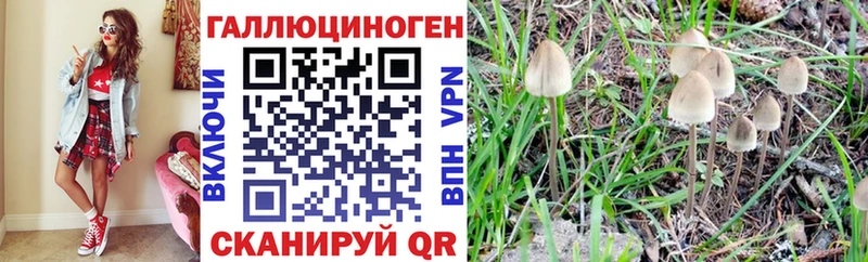 Галлюциногенные грибы ЛСД  OMG как зайти  Балтийск 