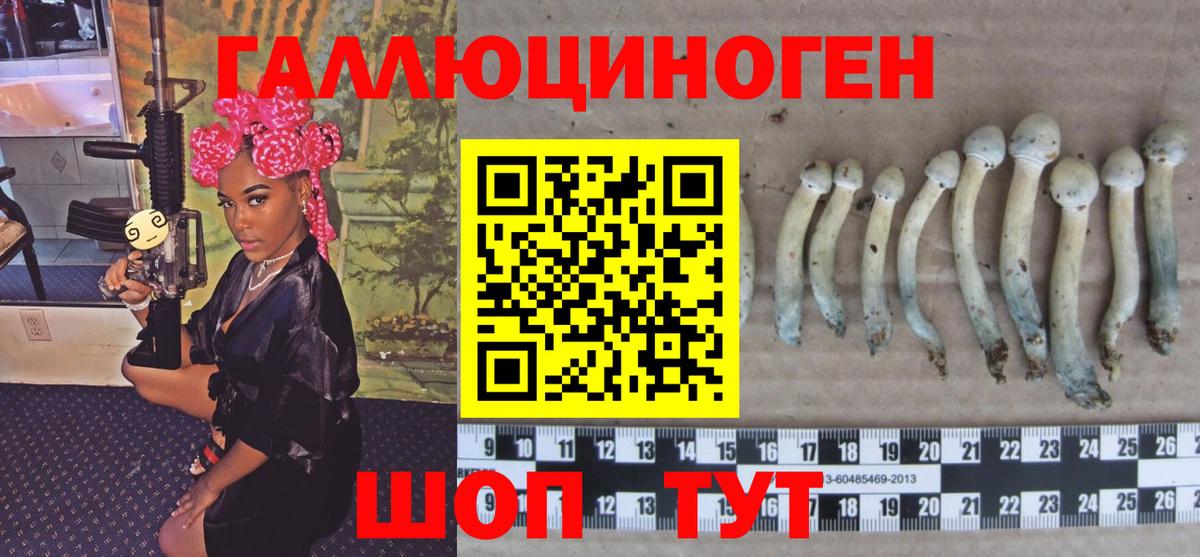 Галлюциногенные грибы прущие грибы Балтийск