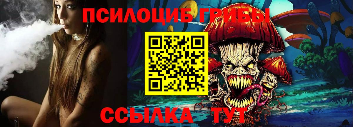 купить  сайты  Псилоцибиновые грибы Cubensis  Вход с VPN  Балтийск 